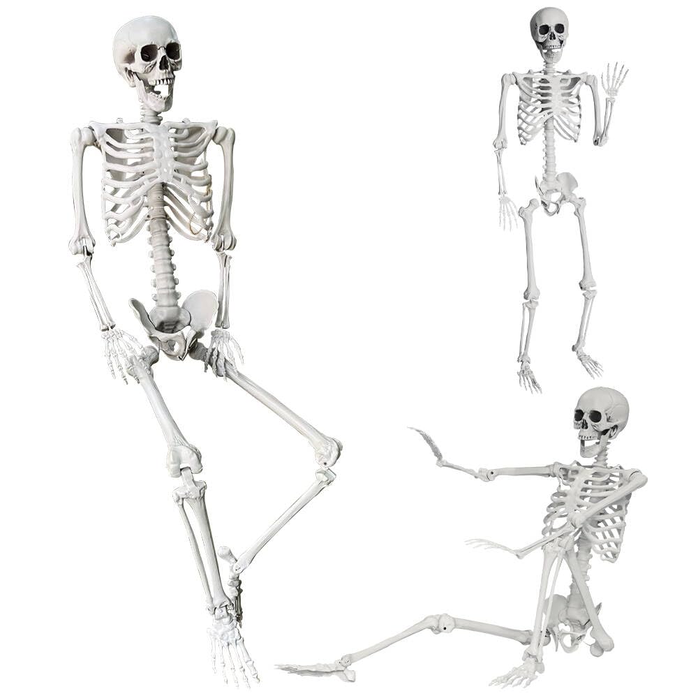 5.4Ft Life Size Skeleton with Movable Joints P83962