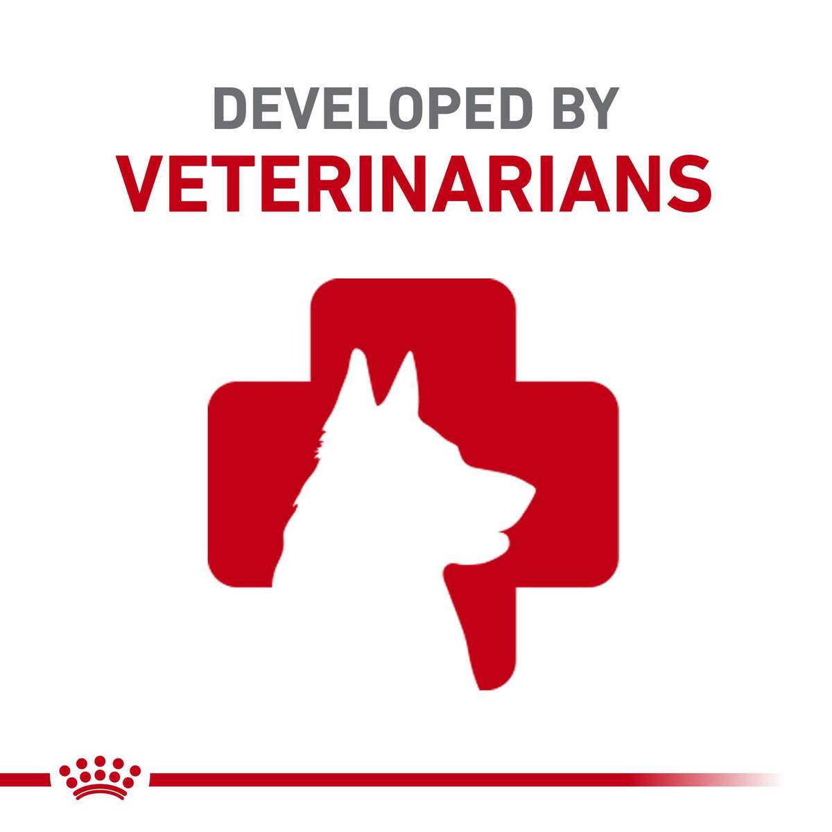 Dry Dog Food 30 lb Bag R46658