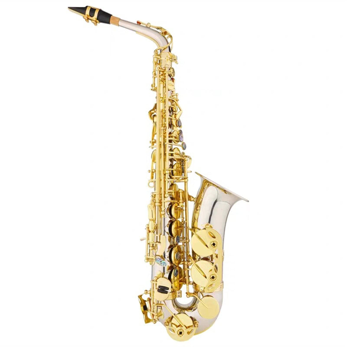 E Flat Alto Saxophone Wind Instrument A4565