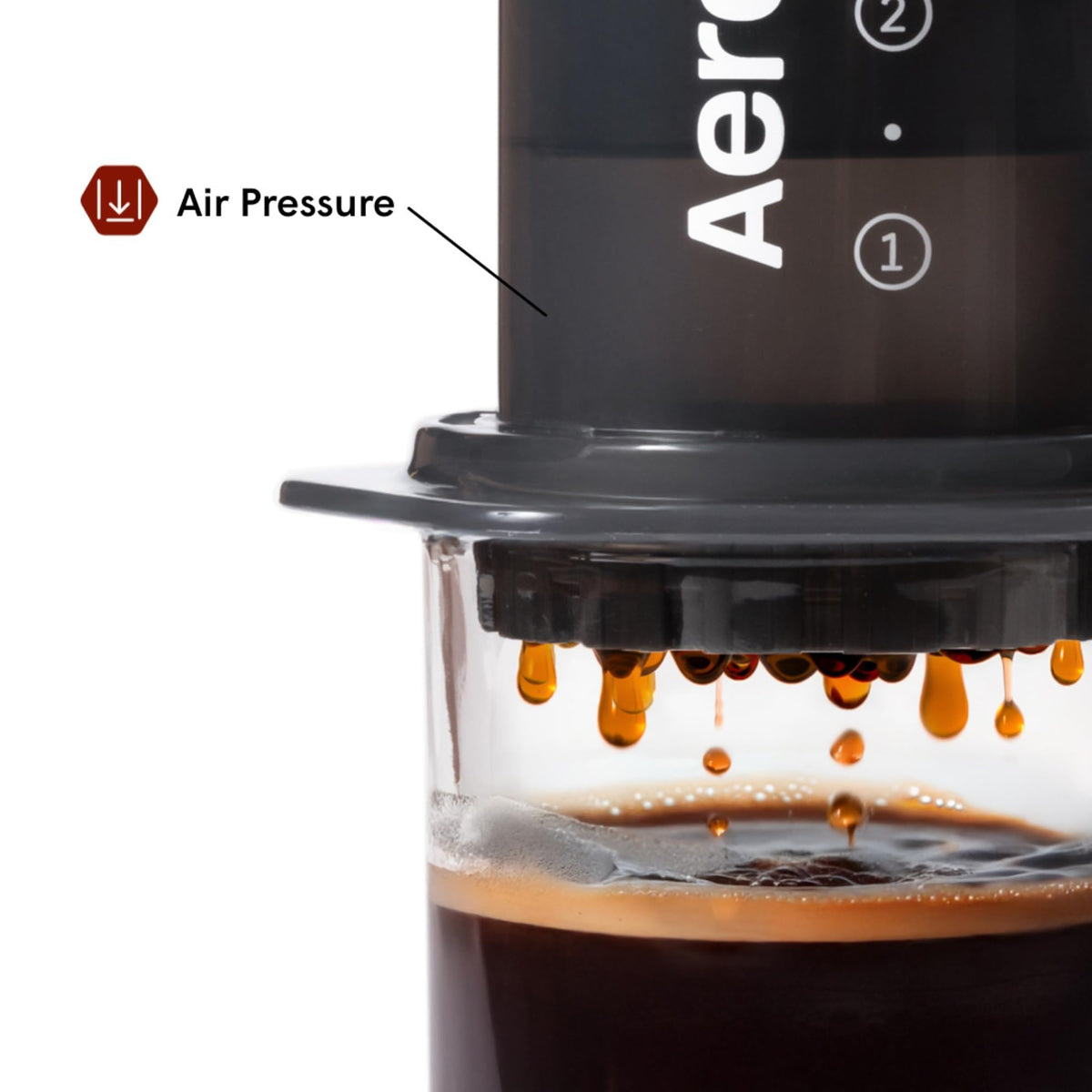 Coffee Press I63521