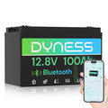 12V 100Ah LiFePO4 Lithium Battery H4173