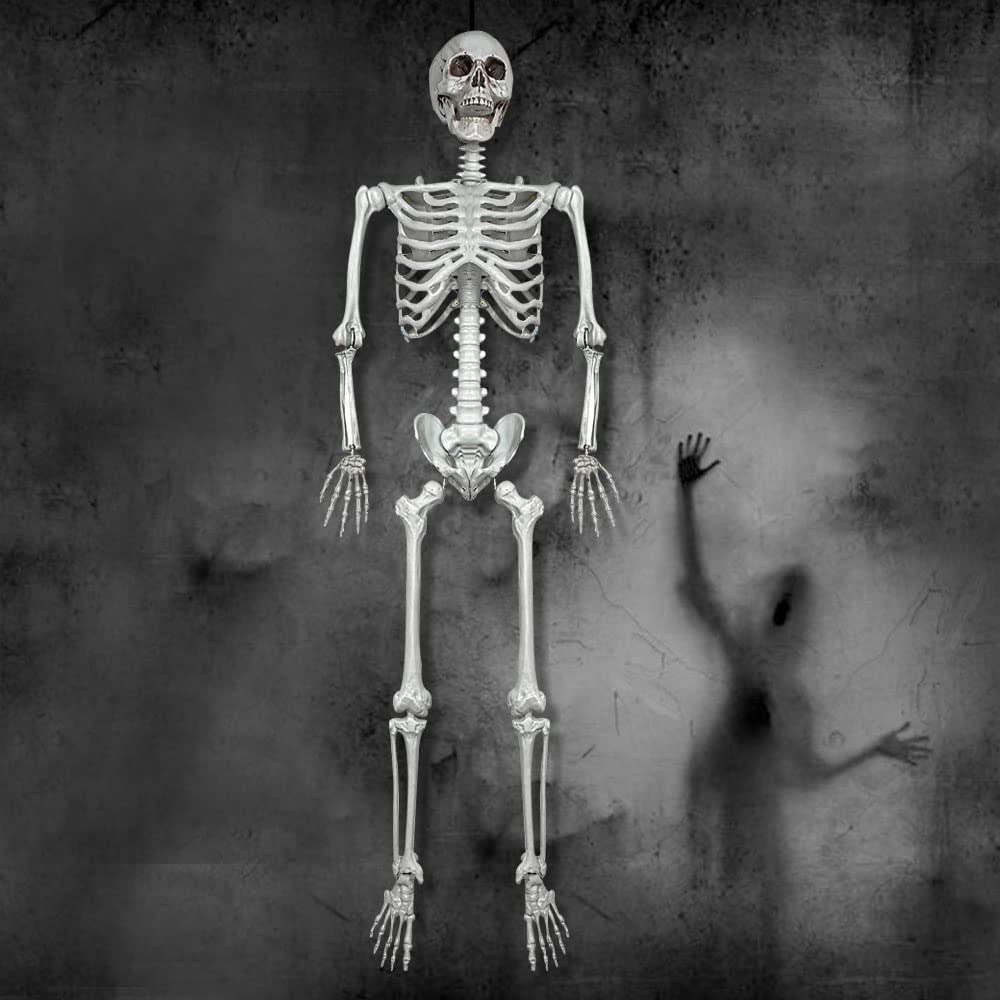 5.4Ft Life Size Skeleton with Movable Joints P83962