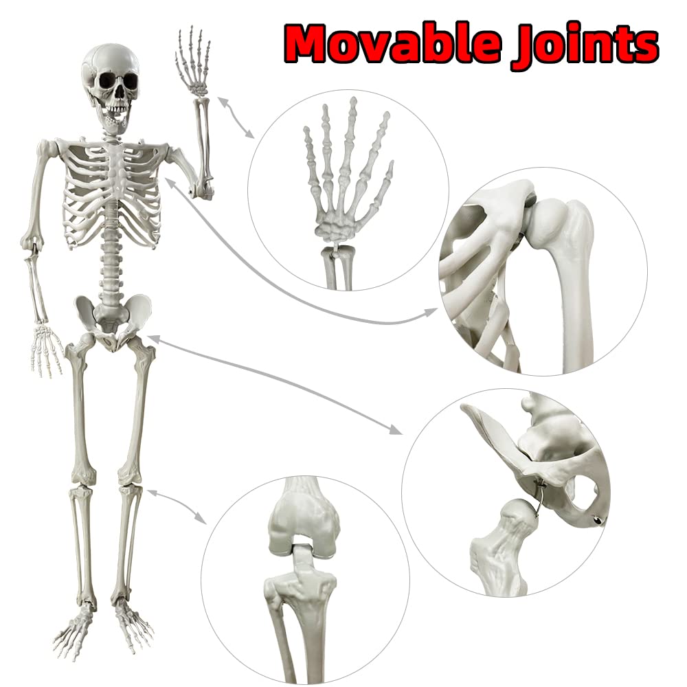 5.4Ft Life Size Skeleton with Movable Joints P83962