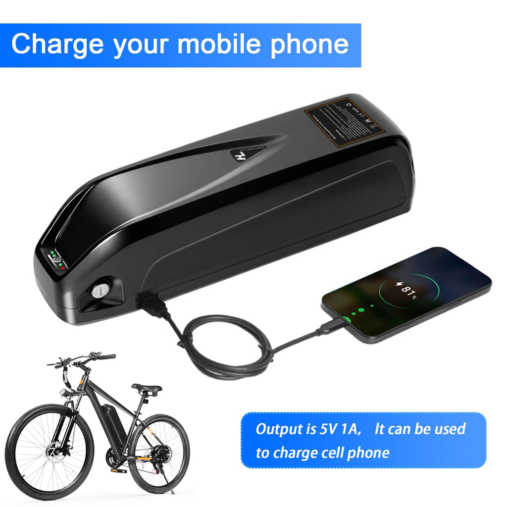 48V 13Ah Lithium Ebike Battery with 30A BMS E999460