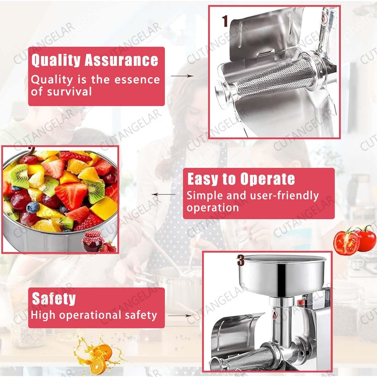 450W Stainless Steel Electric Juicer U488434