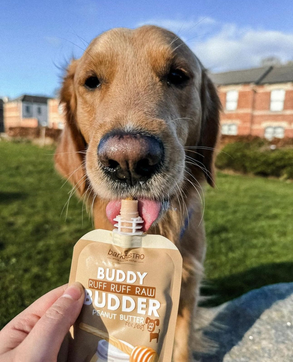 6 Pack 4oz Natural Dog Peanut Butter Squeeze Packs G60140