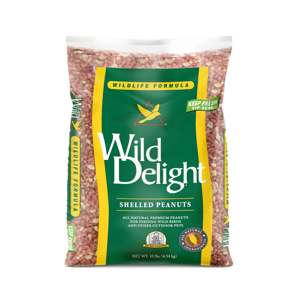Shelled Peanuts 10 lb V719