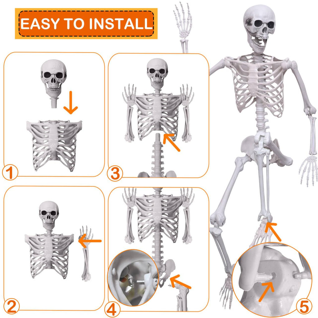 5.4Ft Life Size Skeleton with Movable Joints P83962