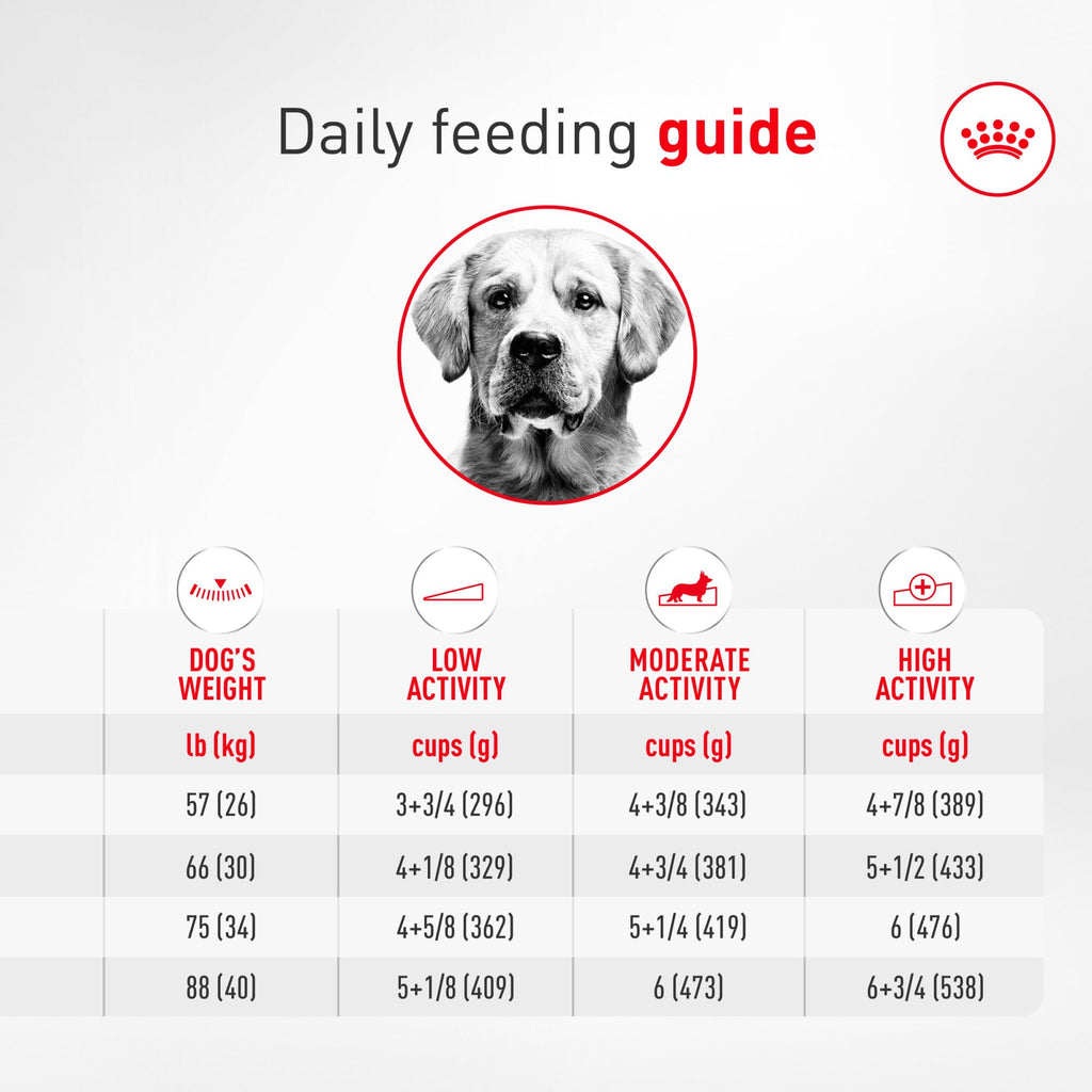Dry Dog Food 30 lb Bag R46658