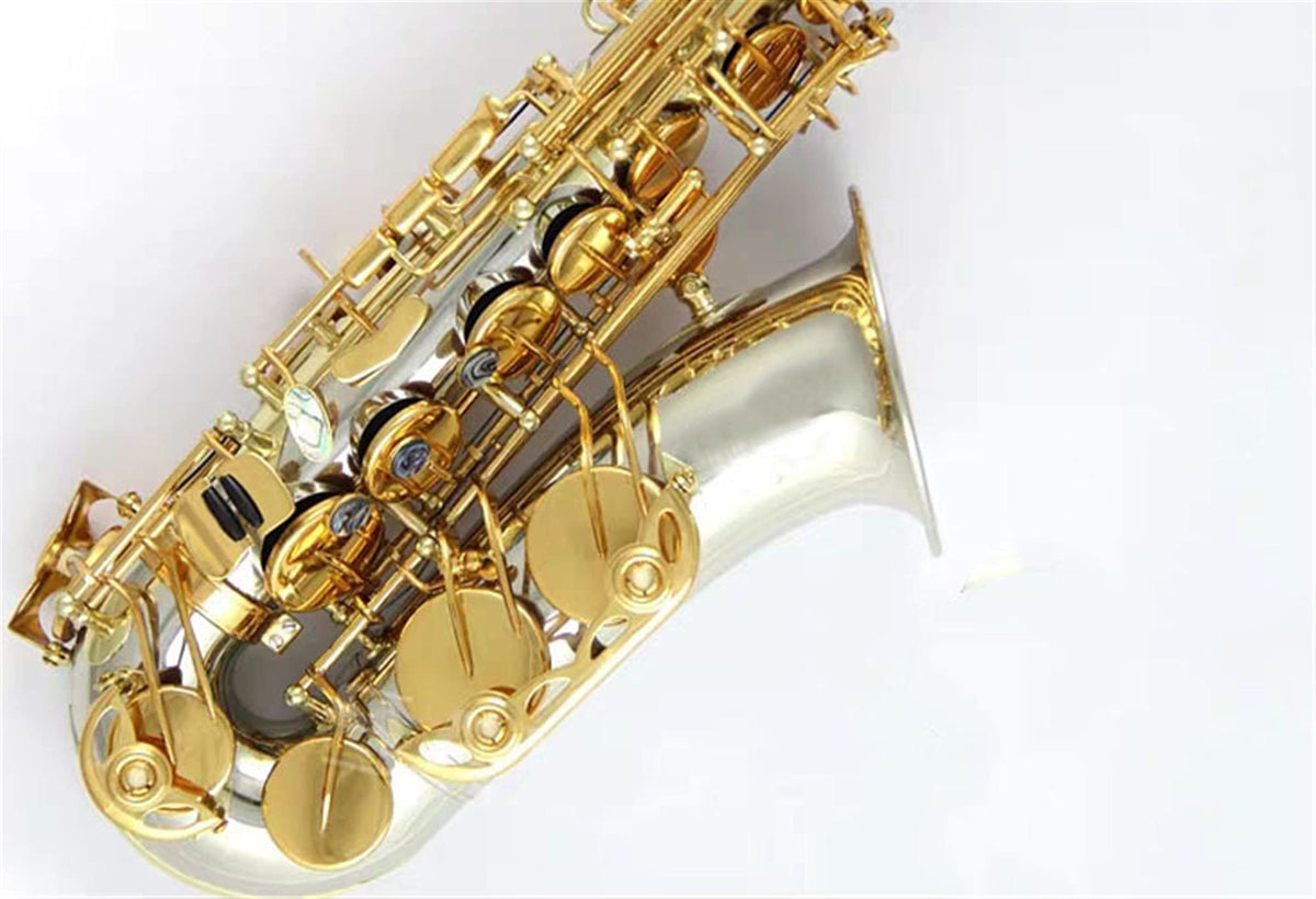 E Flat Alto Saxophone Wind Instrument A4565