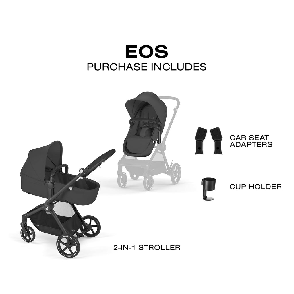 2-in-1 Baby Stroller N49016