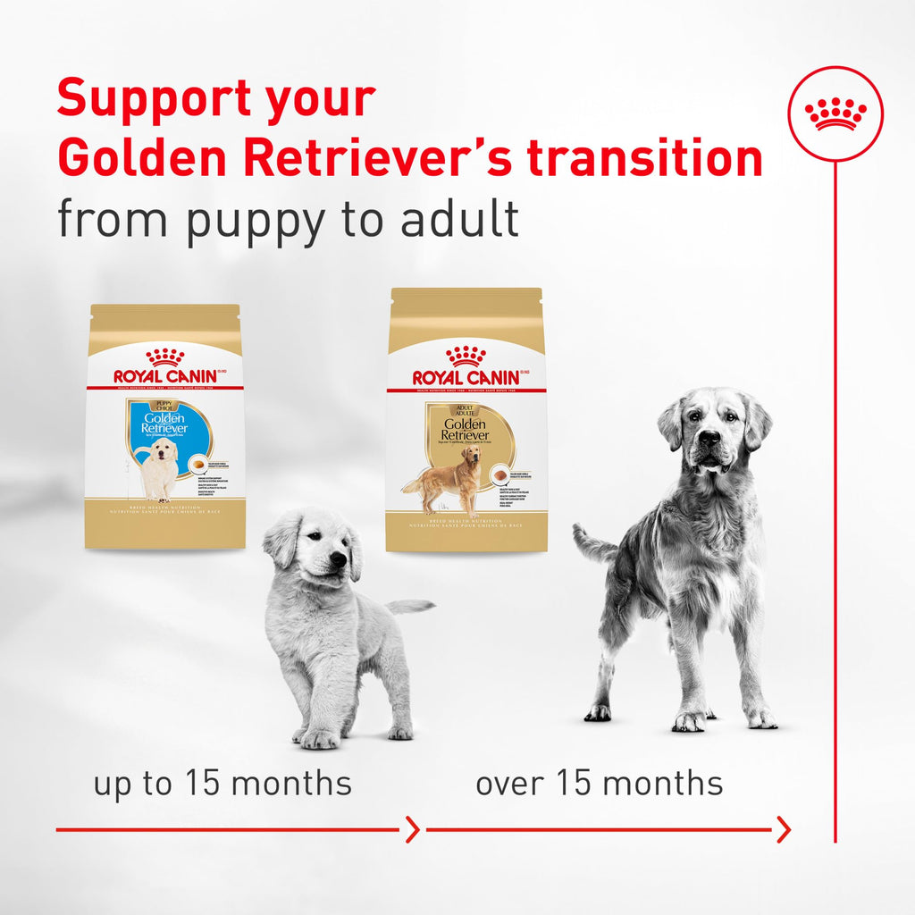 Dry Dog Food 30 lb Bag R46658