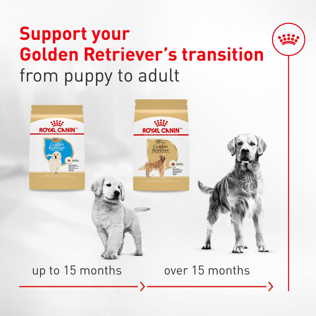 Dry Dog Food 30 lb Bag R46658