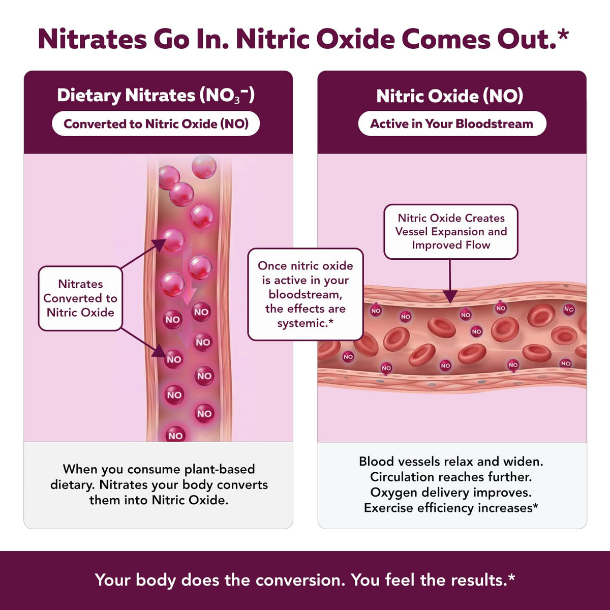 Nitrate Supplement 135mg 90 Capsules K232563