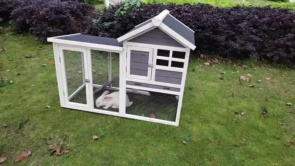 Insulated Heated Outdoor Dog House W780