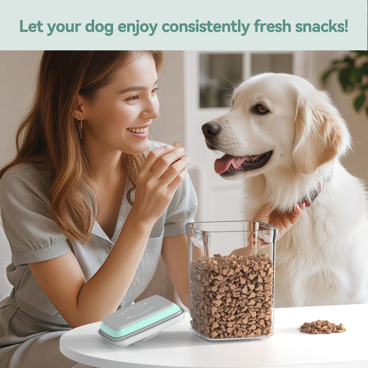 Airtight Treat Jar Container 2PC BPA-Free R654746