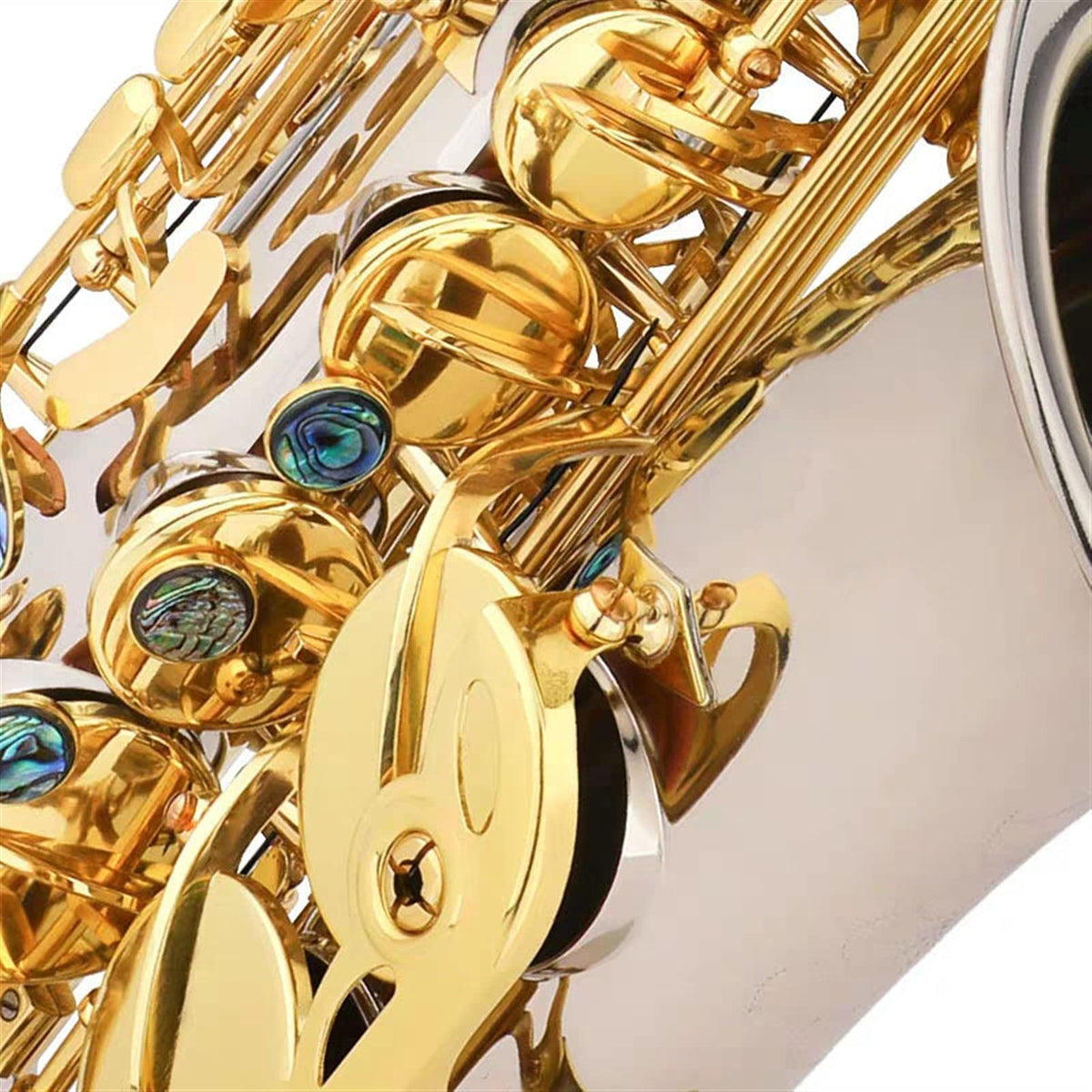 E Flat Alto Saxophone Wind Instrument A4565