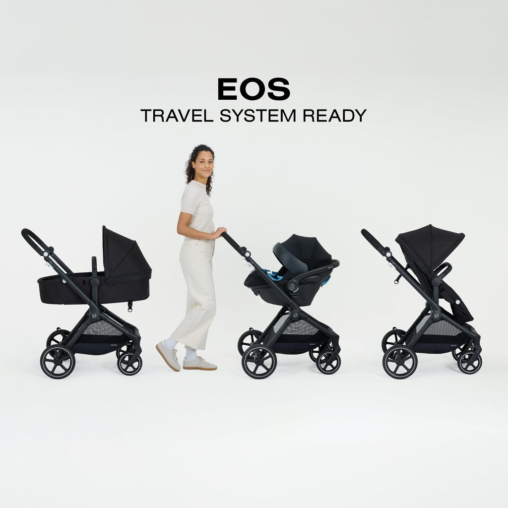 2-in-1 Baby Stroller N49016