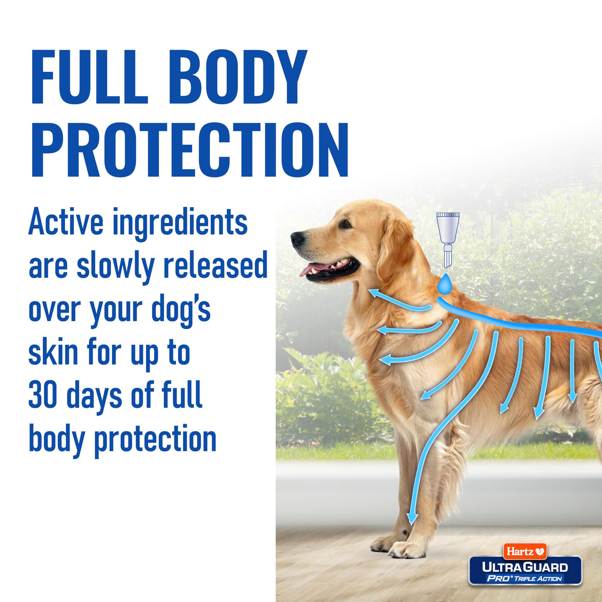Flea & Tick Topical Dogs & Puppies Treatment, 6 Months, 61-150 lbs G45053