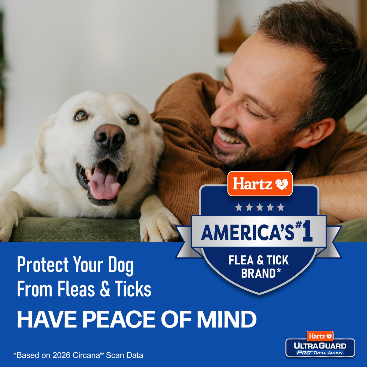 Flea & Tick Topical Dogs & Puppies Treatment, 6 Months, 61-150 lbs G45053