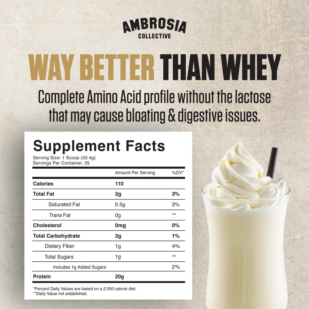 Plant Based Vegan Pea Protein Powder 20g Vanilla U33052