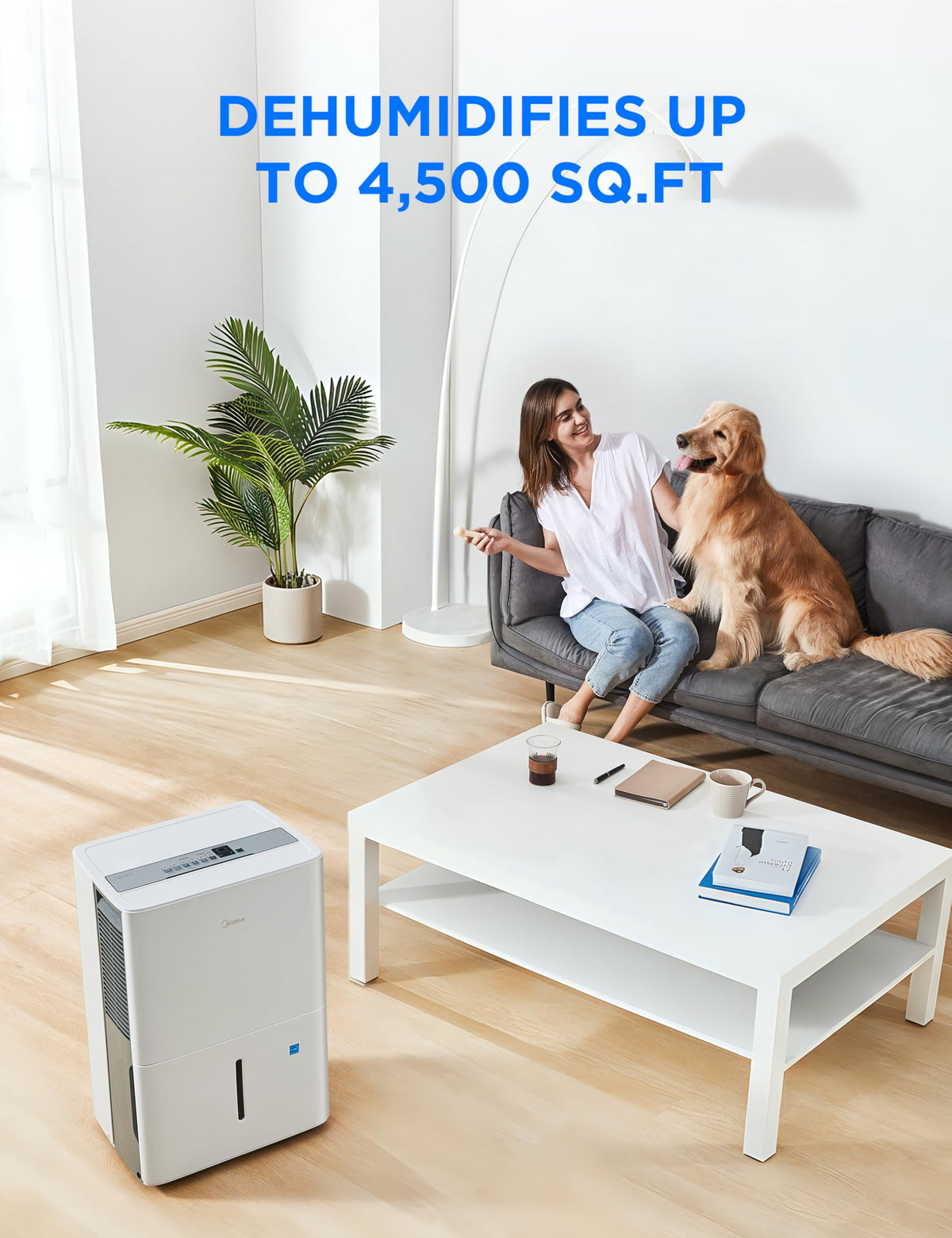 50 Pint Dehumidifier with Pump U856