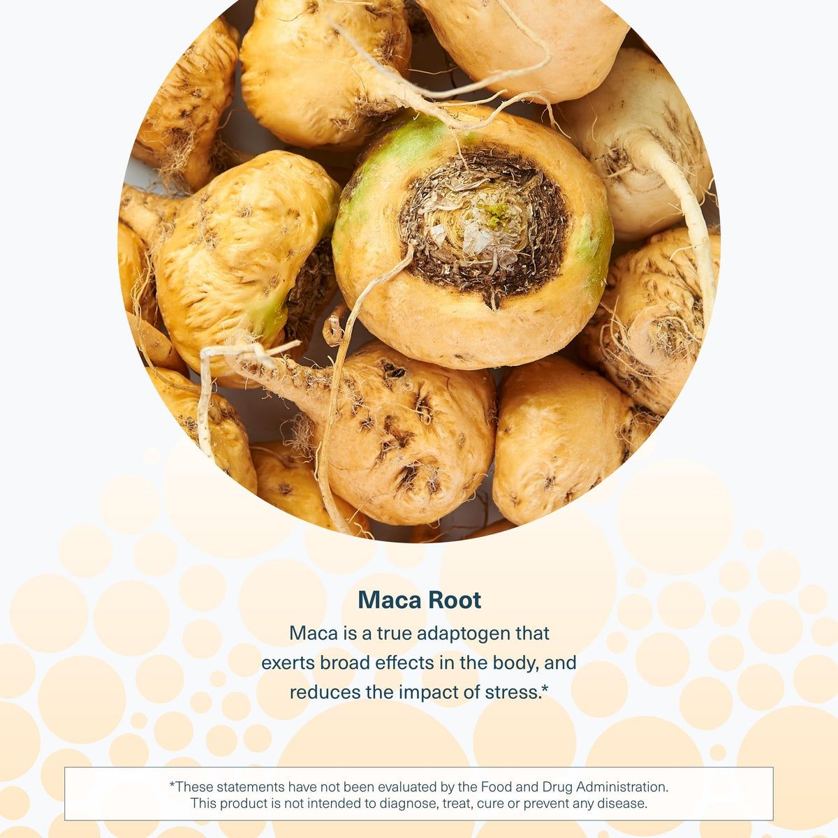 Maca Root 120 Vegetarian Capsules C422