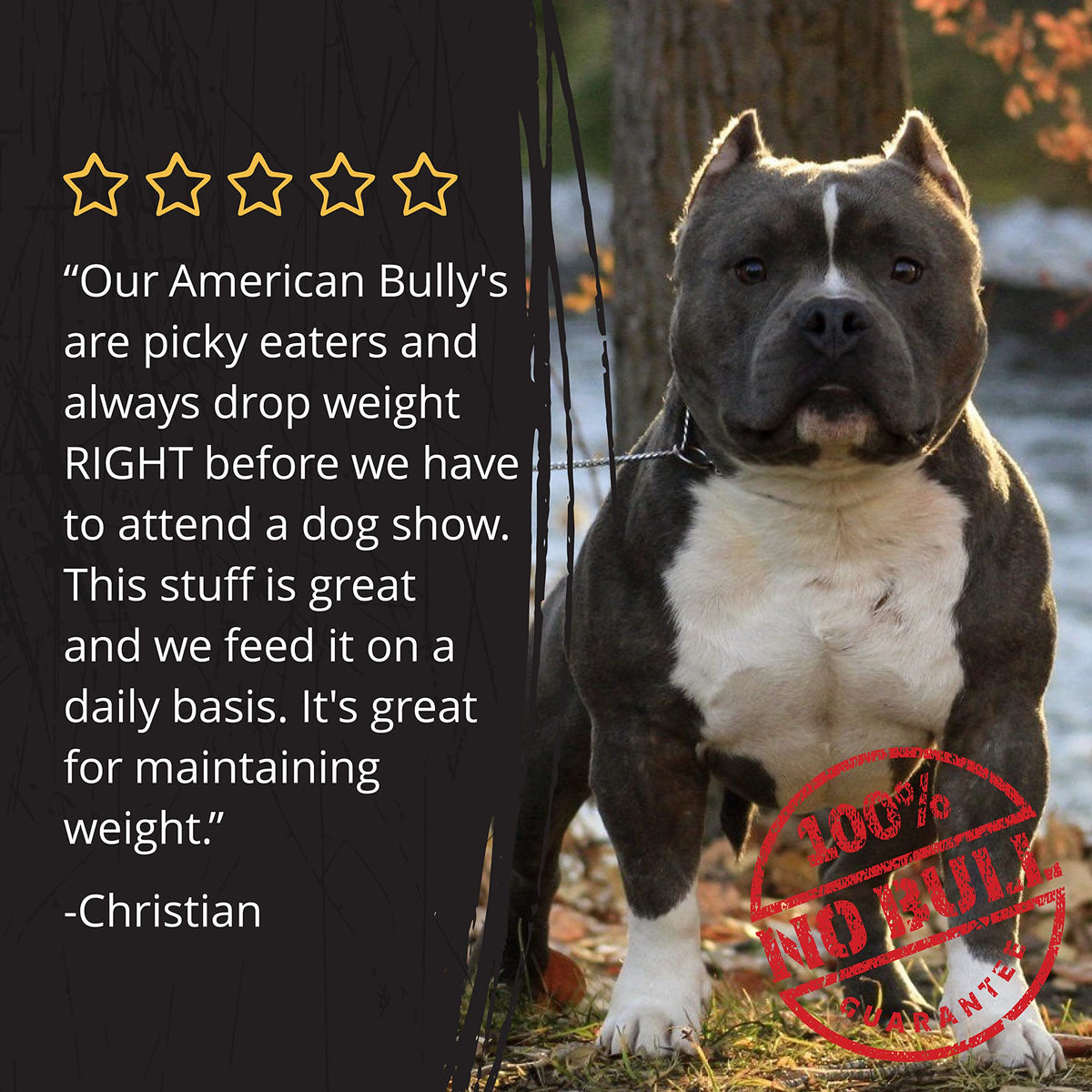 Dog Food Topper and Weight Gainer N38804