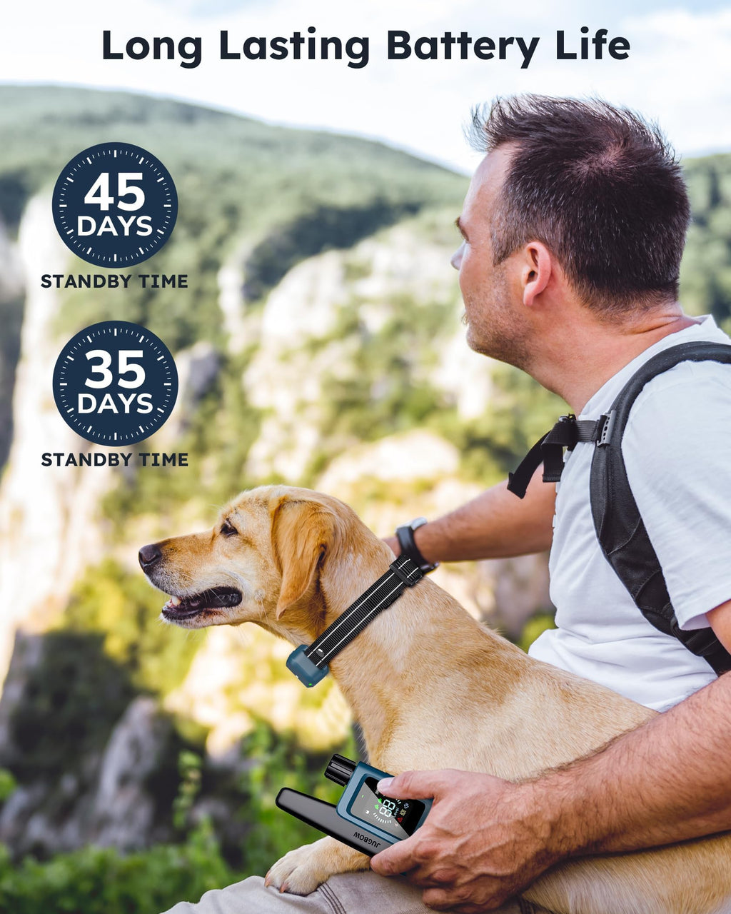 Dog Shock Collar with Remote H5148