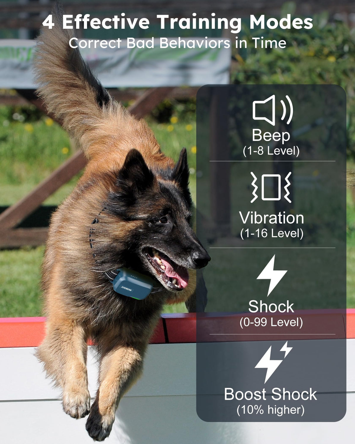Dog Shock Collar with Remote H5148