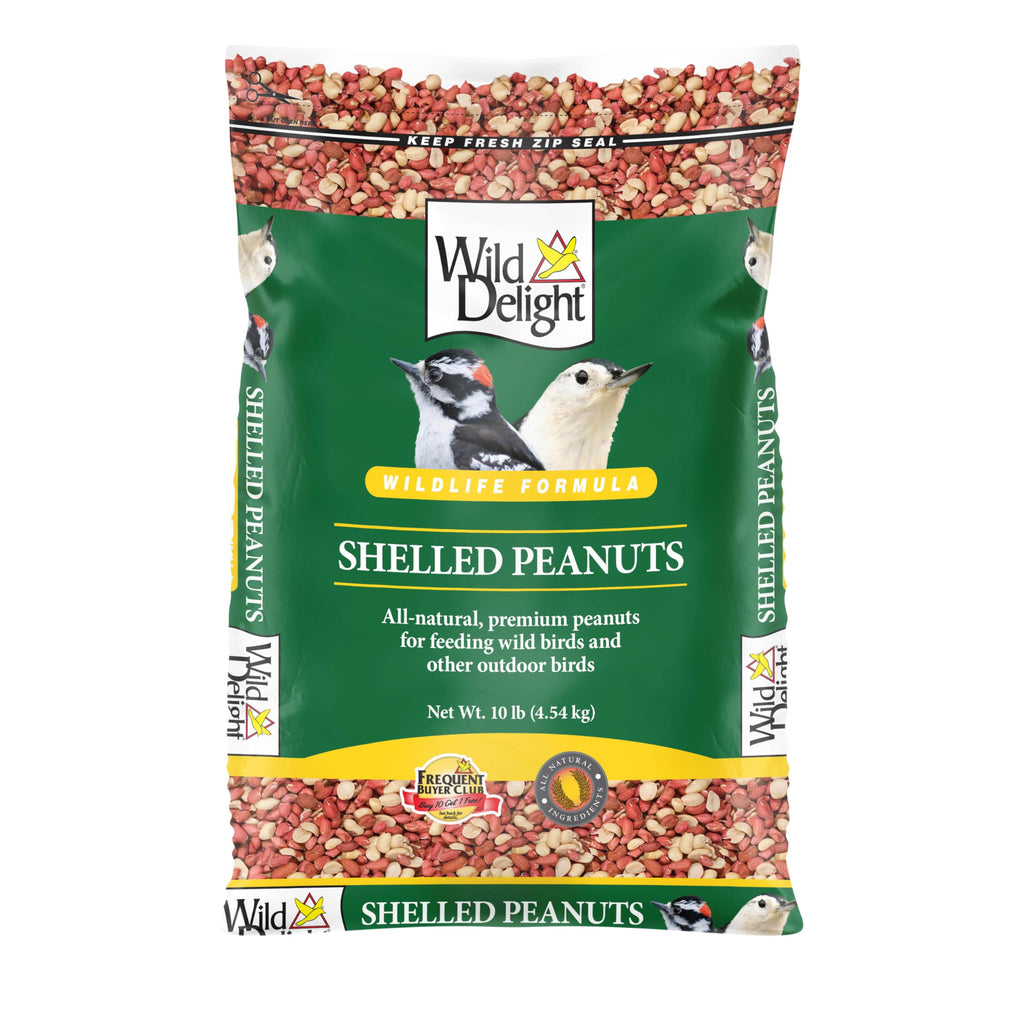 Shelled Peanuts 10 lb V719