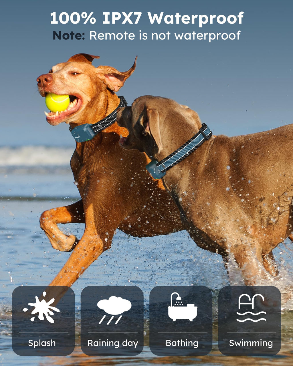 Dog Shock Collar with Remote H5148