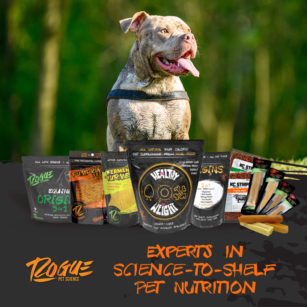 Dog Food Topper and Weight Gainer N38804