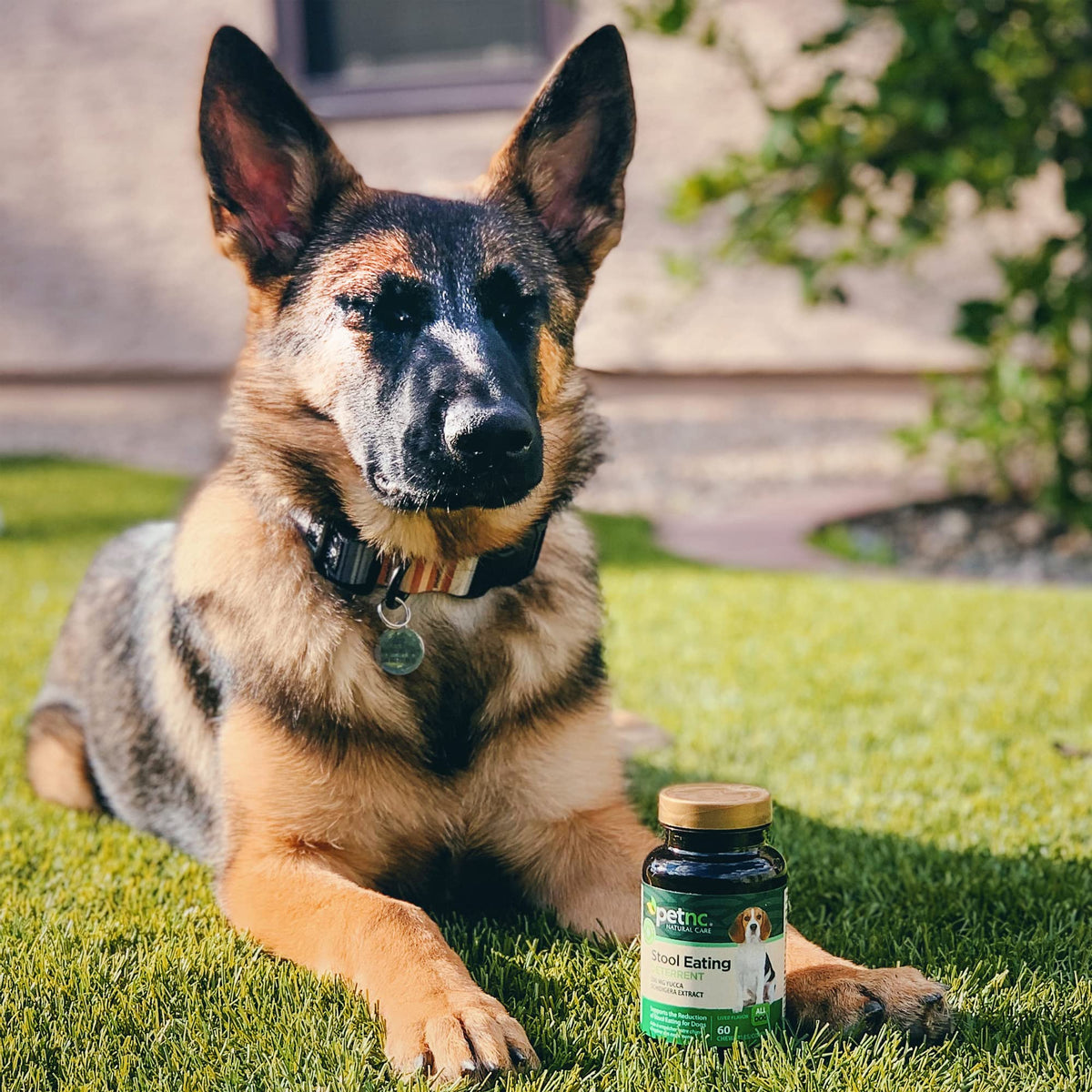 Stool Eating Deterrent Chewables for Dogs, 60 Count Q40975