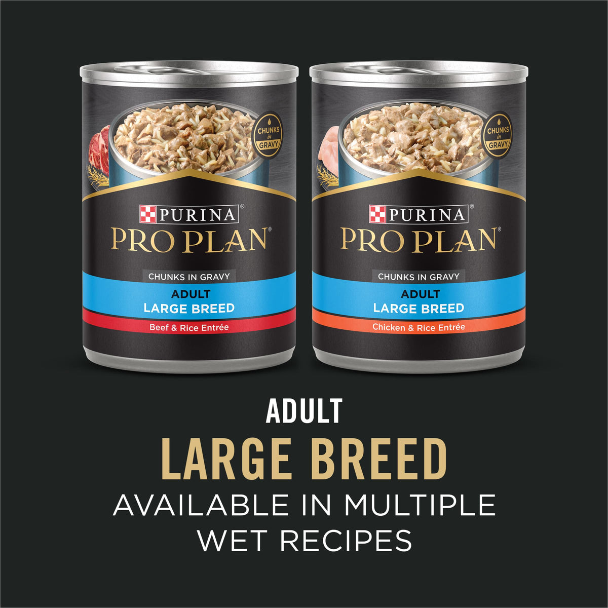 Chicken & Rice Dry Dog Food 34 lb Bag O39863