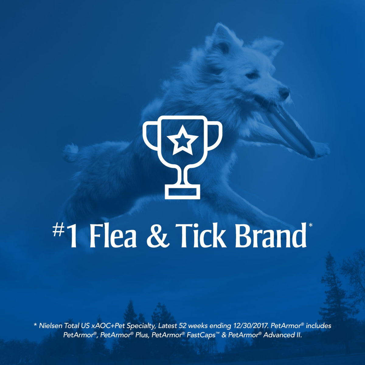 Flea & Tick Topical Dogs 5-22 lbs, Fipronil, 3-Month W611627