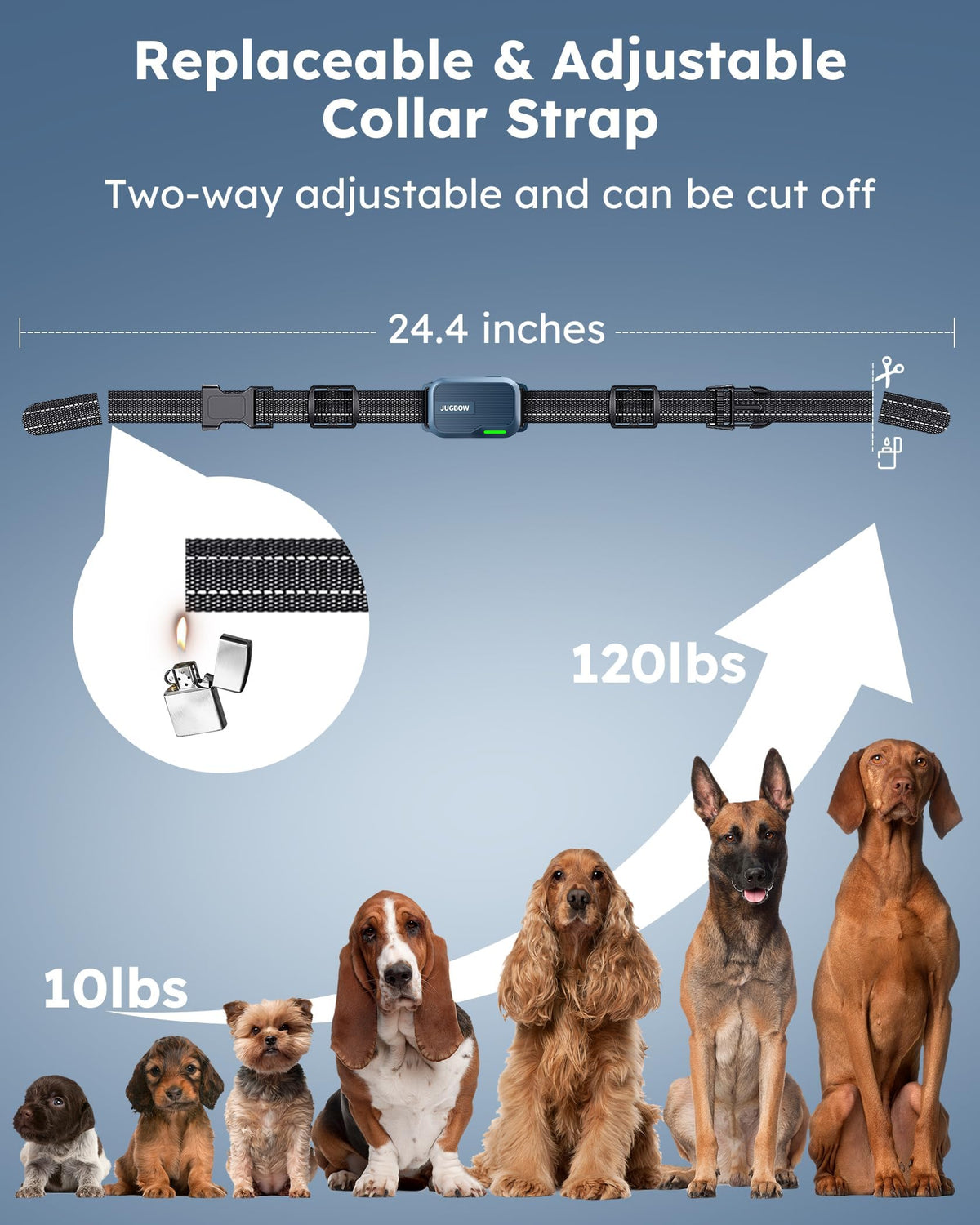 Dog Shock Collar with Remote H5148