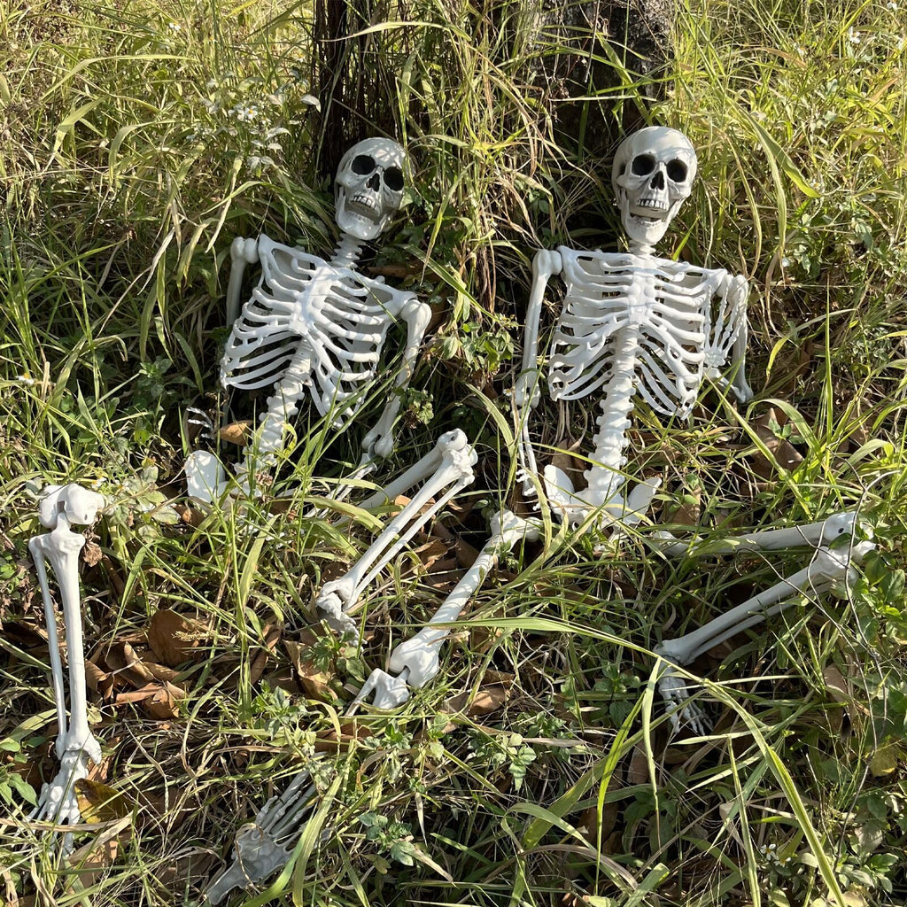 5.4Ft Life Size Skeleton with Movable Joints P83962