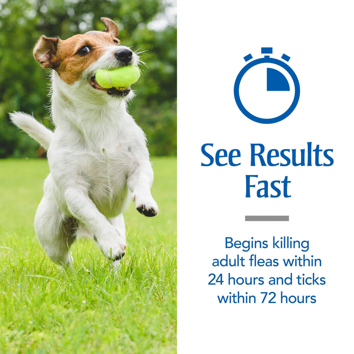 Flea & Tick Topical Dogs 5-22 lbs, Fipronil, 3-Month W611627