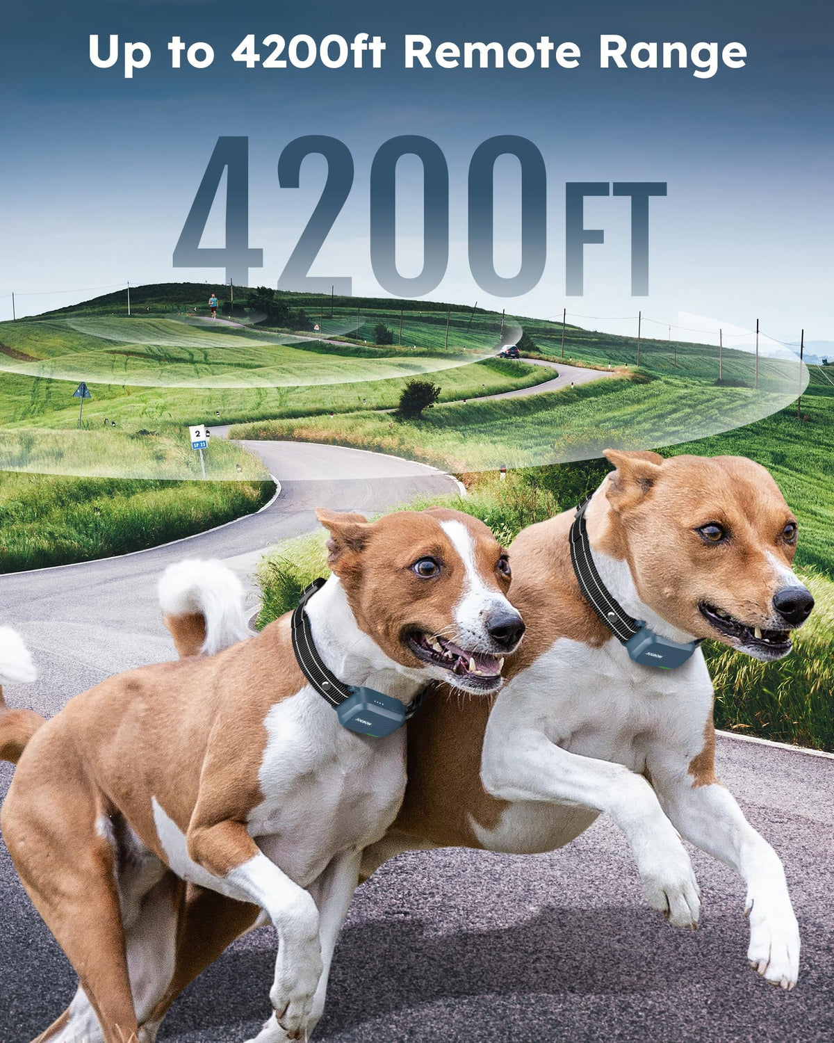 Dog Shock Collar with Remote H5148